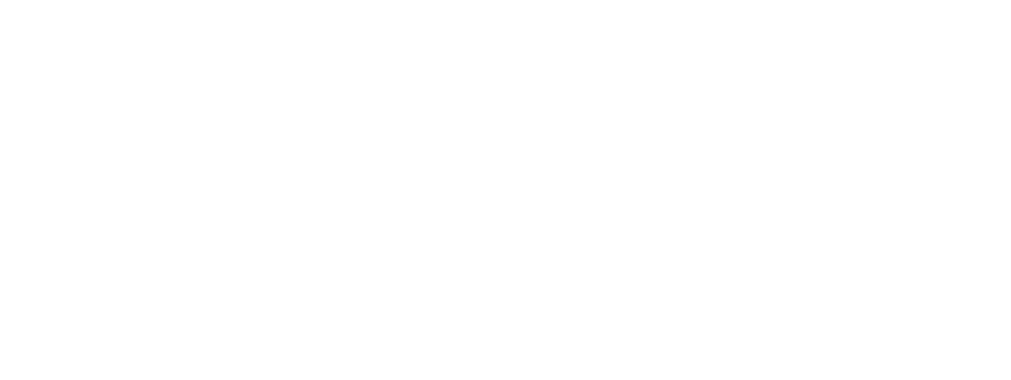 Home ProBlocks